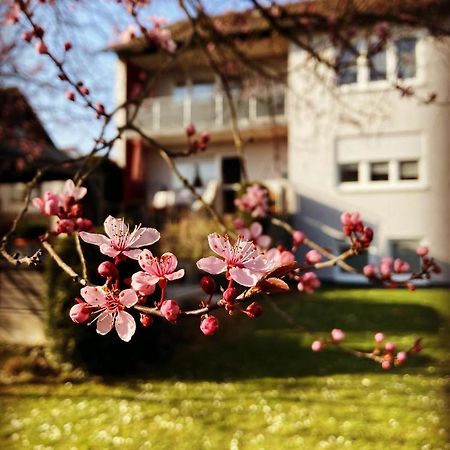 Ferienwohnung Im Aalbachtal - Uettingen Bei Wuerzburg 외부 사진