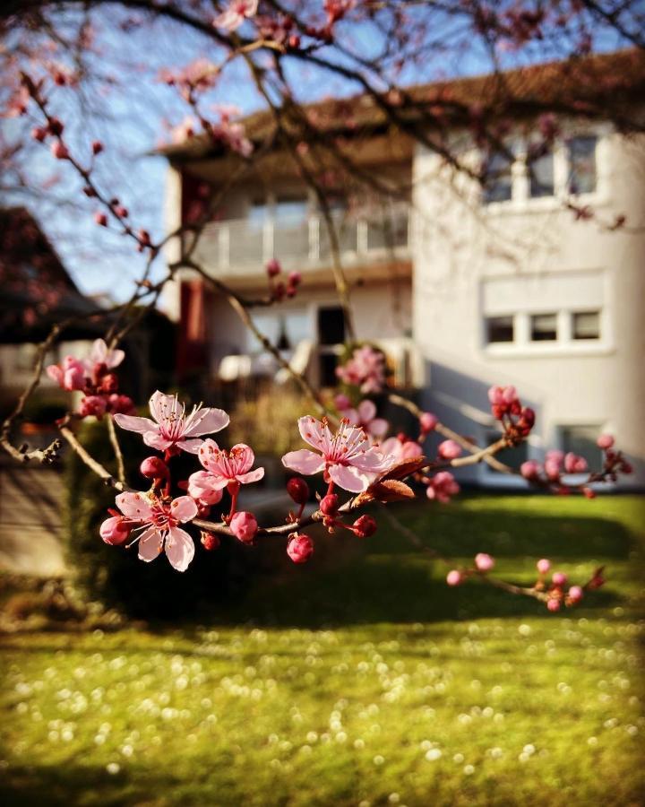 Ferienwohnung Im Aalbachtal - Uettingen Bei Wuerzburg 외부 사진