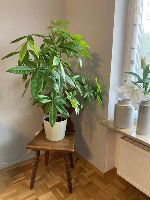 Ferienwohnung Im Aalbachtal - Uettingen Bei Wuerzburg 외부 사진